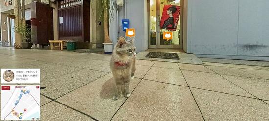 吸引游客新招 日本广岛县观光课推“猫咪街景”