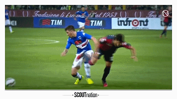 gif集锦:   前景展望