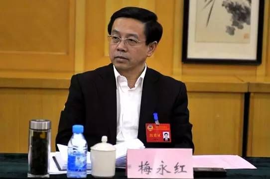 官员辞职去公司有何不可|官员|辞职|公务员