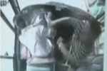 監(jiān)拍：女童被公交車門夾住 父親狂毆女司機
