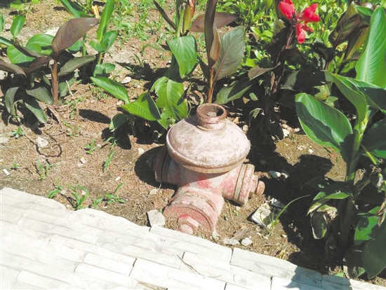 唐山街头一些消防栓被埋压遮挡