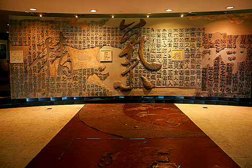 浦东科普场馆大盘点之上海中医药博物馆