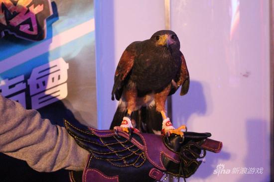 现身代言游戏 深刻反省并大方公开游戏账号_八