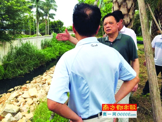 督办组在清远市清新区山塘镇低地村查看信访现场——— 信访人所反映的一条被开发商非法占用的水渠。