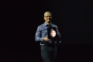 ����ζ����ƻ�������ǳ���������