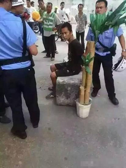 (图自网络)