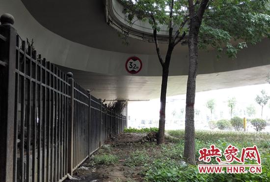 鄭州奇葩限高牌，懸掛在綠化帶上空