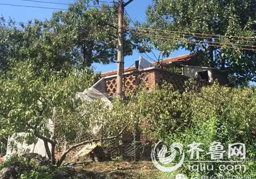 济南草丛现女尸案告破:疑似女孩打黑车遭性侵后被掐死。