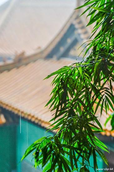 我们死死地抱着烦恼不放，没有把烦恼当成处理品，而是把烦恼当成了宝贝。（图：佛教摄影论坛）