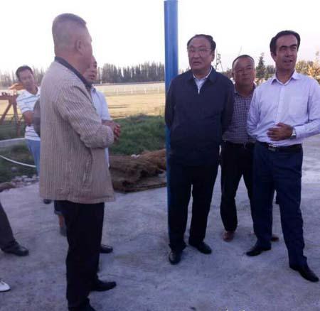 新疆伊犁州党委副书记、州长马宁·再尼勒视察夏小平的马场