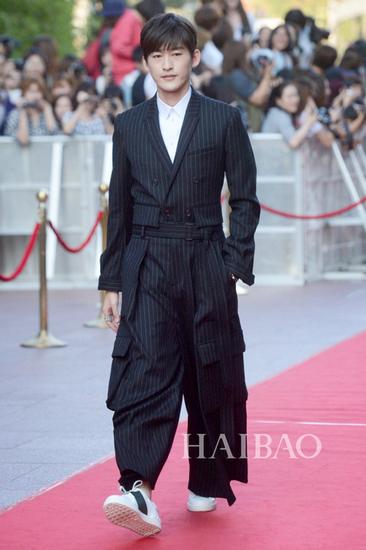 张翰亮相2015首尔电视节颁奖典礼红毯