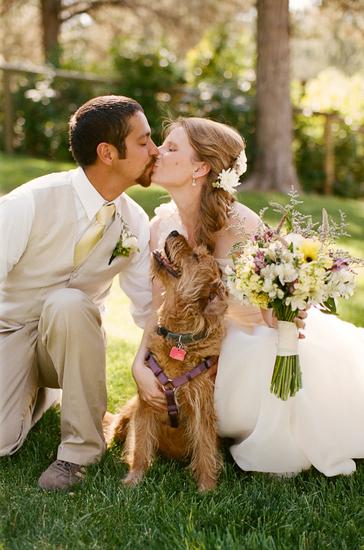 带狗的婚纱照_婚纱照风格