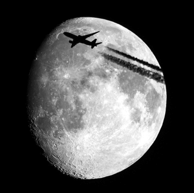 赏月航班受旅客追捧 中秋夜选择靠窗座位居多