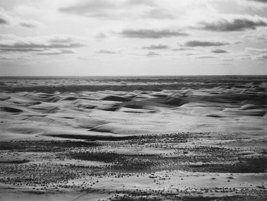 ������ɳĮ�����ݣ��ָ��������У�����ɳĮ������ɫ��