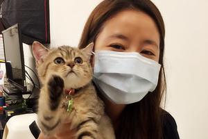 林心如素颜抱猫咪卖萌 下巴缝针仍戴口罩