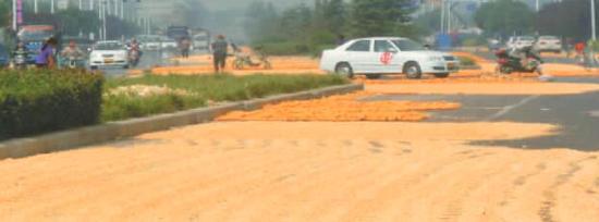 主干道成了玉米的日光浴場