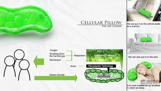 Cellular Pillow