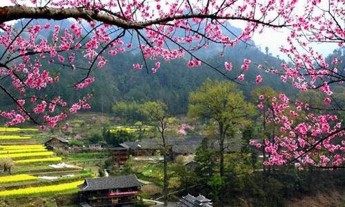 安徽重庆江苏等6地争抢桃花源归属地
