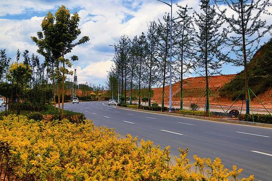 延安老城与新区道路上树木葱茏、花草茵茵。 刘浩摄