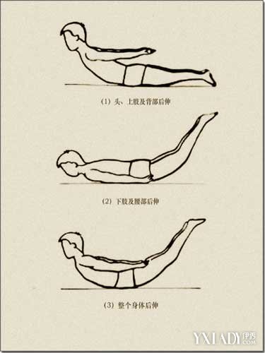 小燕飞标准动作图解