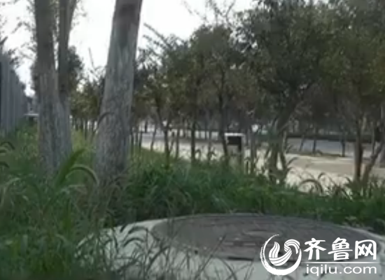 工作人员表示燃气管道被树木占压不能通气