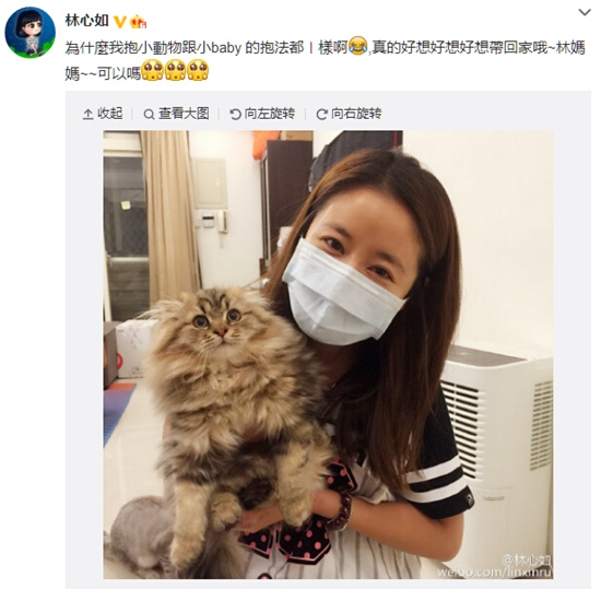 林心如 晒 怀抱 小猫合影  年近四十仍美丽动人_新