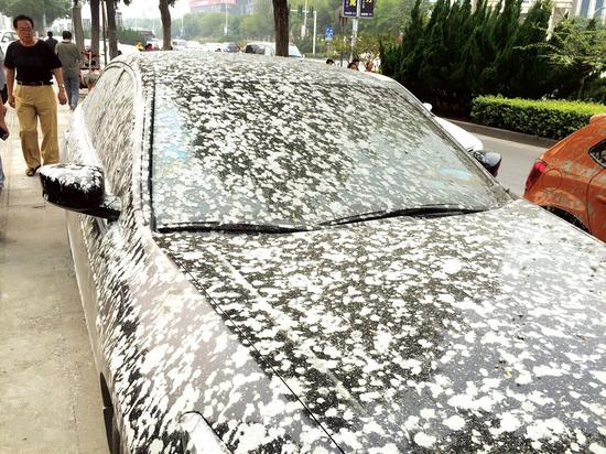 鄭州鄭汴路上下水泥雨 8輛汽車瞬間成斑點狗