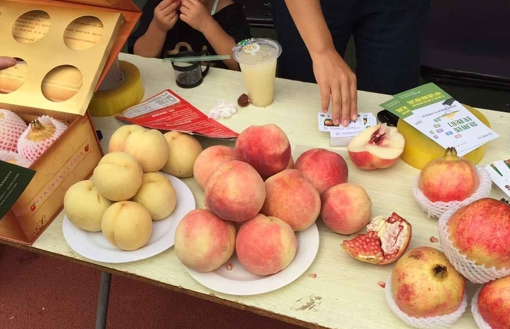 中國(guó)石榴博覽會(huì)現(xiàn)場(chǎng)