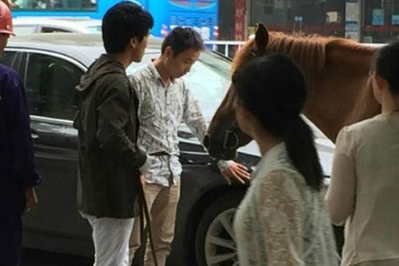 宝马车遇真马司机按喇叭催促被一脚踢坏车