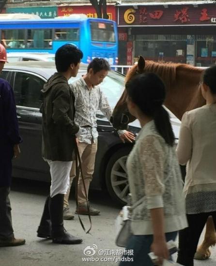 图为被真马踢了的宝马。