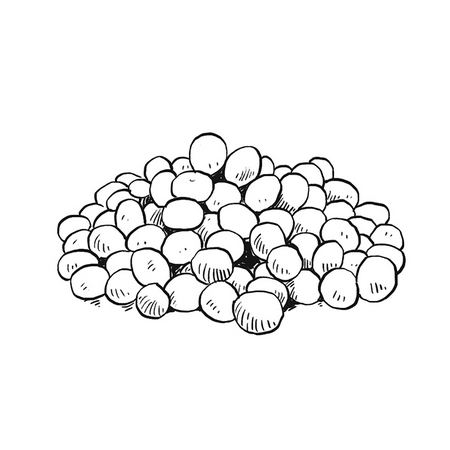 无论哪个年龄都要遵守的吃的法则|饮食|健康|法