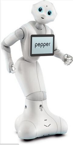 想买情感机器人？先签订性爱禁止协议再说