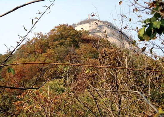 挂鼓楼山顶(图片来自甜井故地的博客)