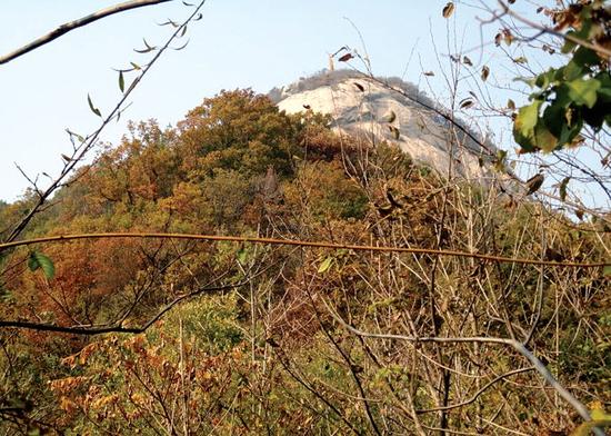 挂鼓楼山顶（图片来自甜井故地的博客）