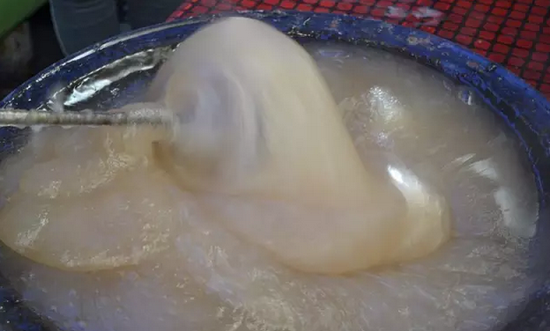制作凉粉,搅粉有讲究