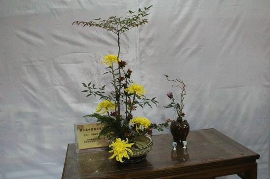 開封菊花大家贊 翰園菊山國慶現