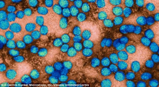 研究人员将宇宙生命“没完没了的扩散”比作地球上流行病毒的传播扩散。