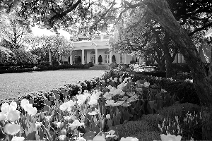 　　白宫玫瑰园的资料照片。