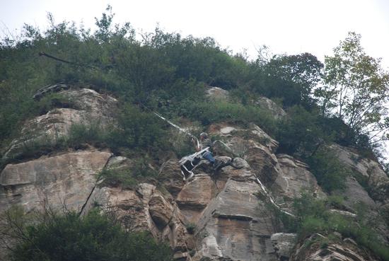 老人腳下的黑色樹根就是剛采到崖柏