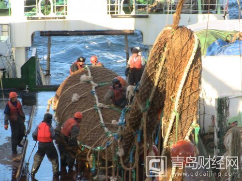 青岛远洋舰队首次狩猎南极深海 22吨磷虾节前
