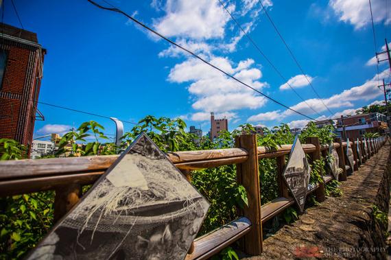 逛济州东门市场 感受韩国市民日常生活 _成都