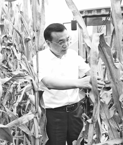 李克强查看长葛玉米长势估出亩产量 点赞土地