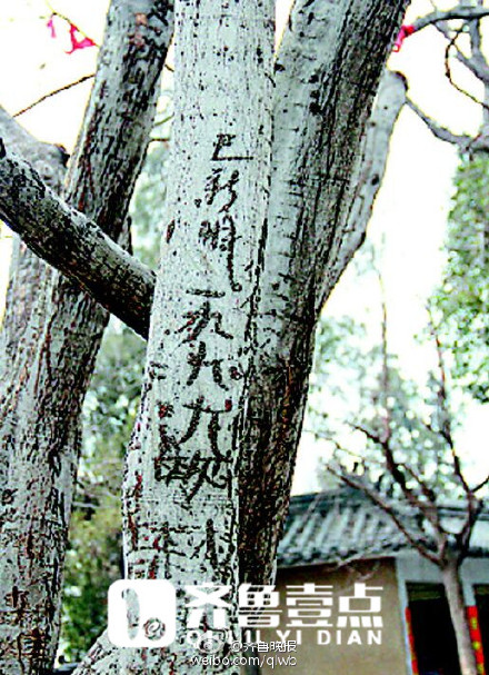 乱刻乱画。