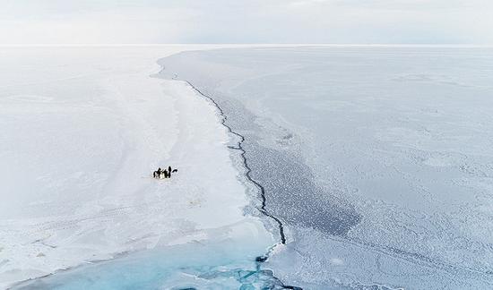图为南极洲一群帝企鹅围成一堆在玩耍。