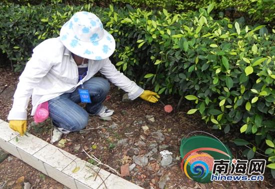 本次投放药物灭鼠,药物要投放在毒鼠盒或隐蔽处和老鼠经常出没的地方