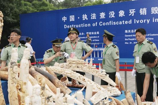 资料图：中国执法部门查没销毁象牙。