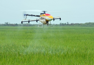 南昌县种粮大户用无人机打药 一上午喷完300亩水稻_新浪江西_新浪网