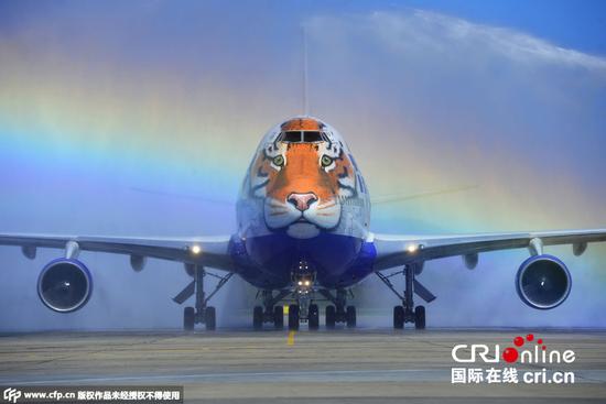 俄罗斯符拉迪沃斯托克全禄航空公司一架波音747-400飞机正面喷绘东北虎形象以迎接老虎日
