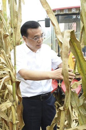 李克强24日到河南长葛老城镇西关村高标准农田察看玉米收成。图片来自中国政府网