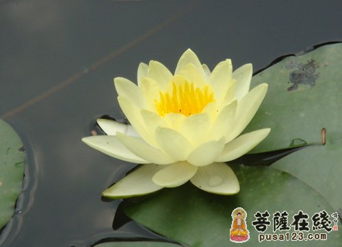 我们每个人具足一切，只是自己被障碍，蒙蔽住了而已。